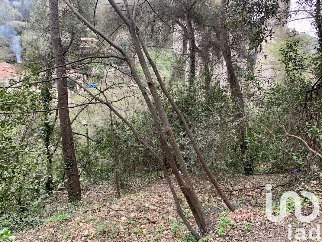 Photo 3 - Terrain à GORBIO