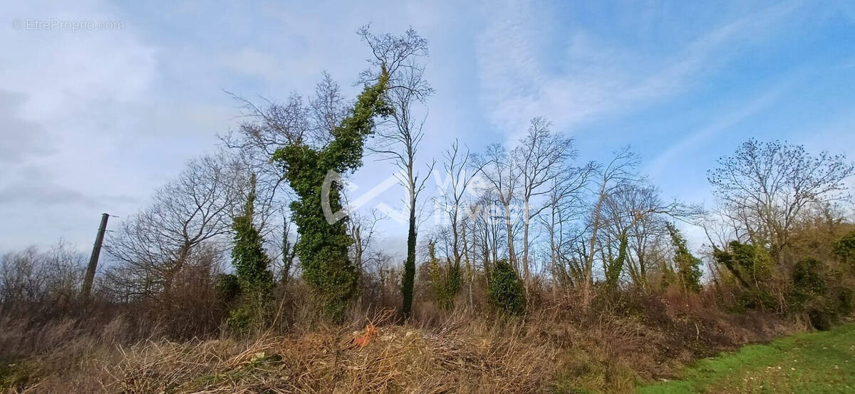 Terrain à GERMIGNY-L'EVEQUE