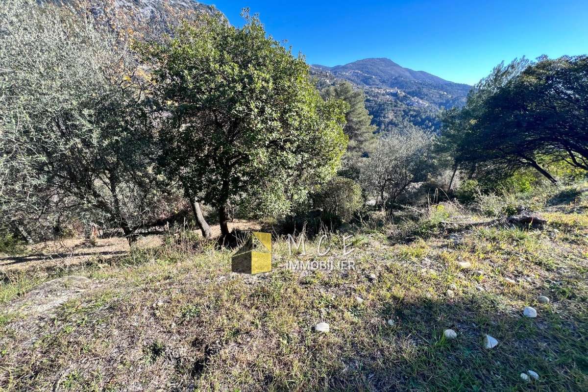 Terrain à CASTAGNIERS