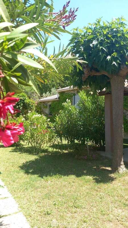 jardin