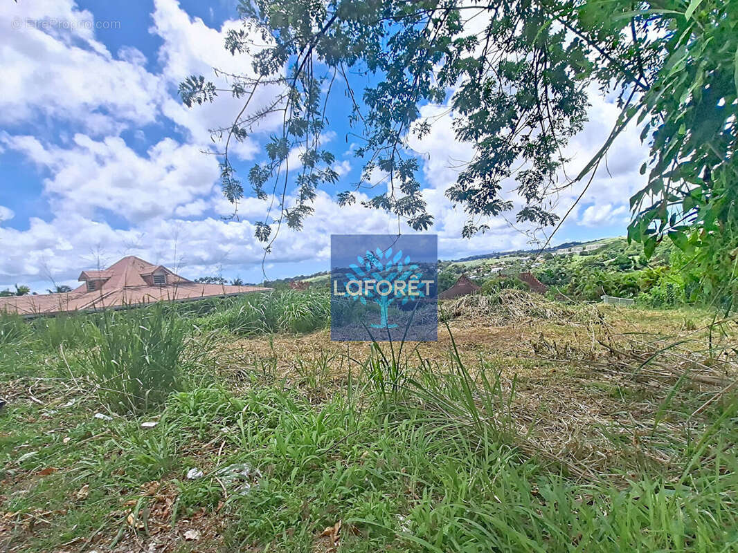 Terrain à LE LAMENTIN