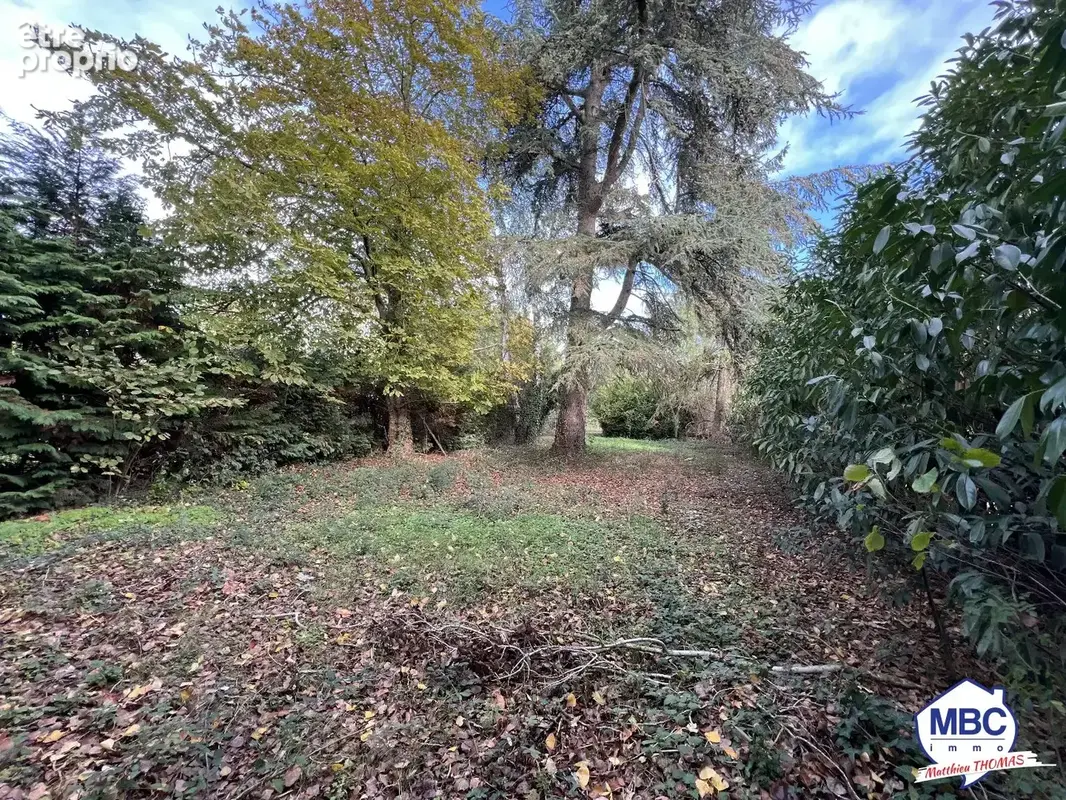 Terrain à DRAIN