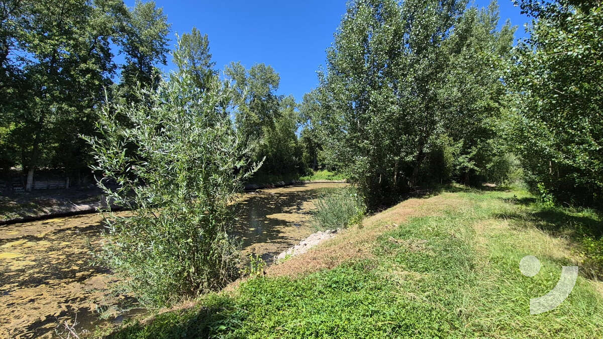 Étang de pêche - 4 575 m2   Mareuil-sur-Aÿ - photo 3