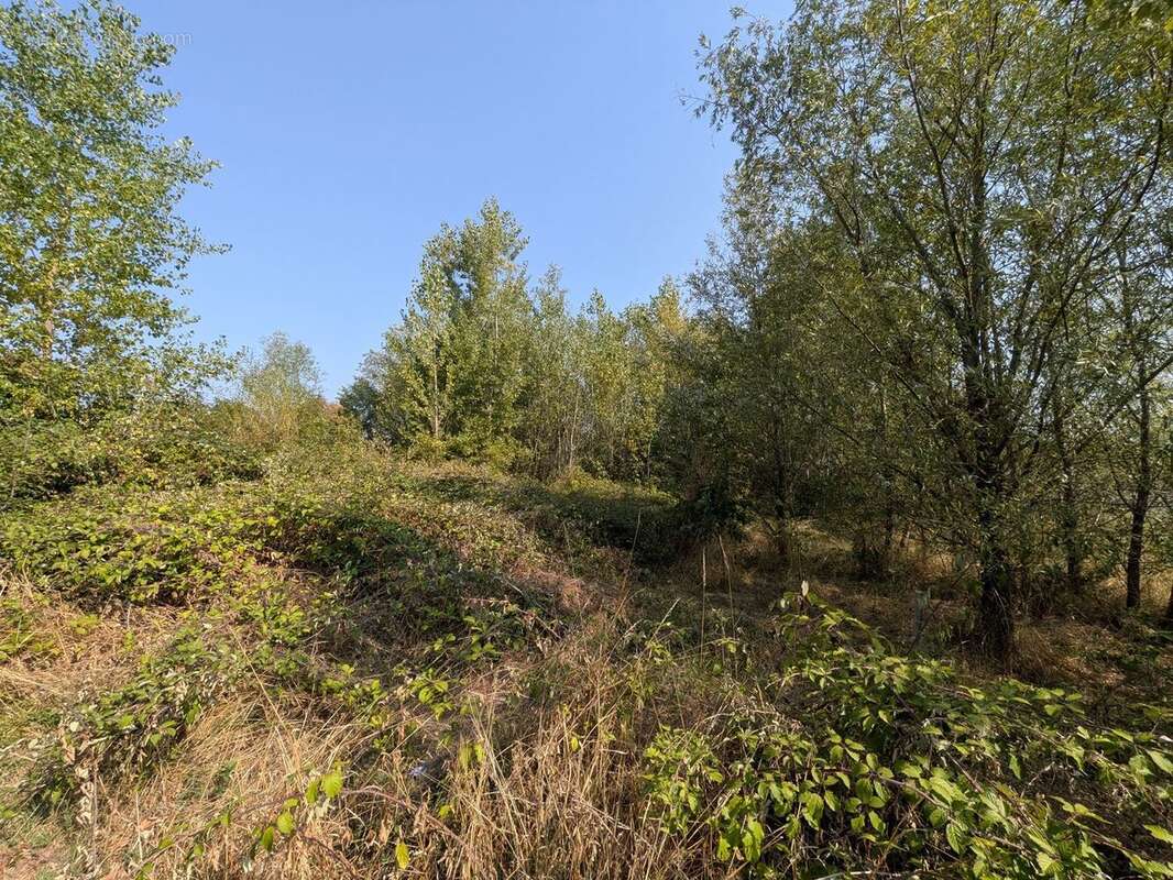 Terrain 1090 m² à Budos  - photo 2