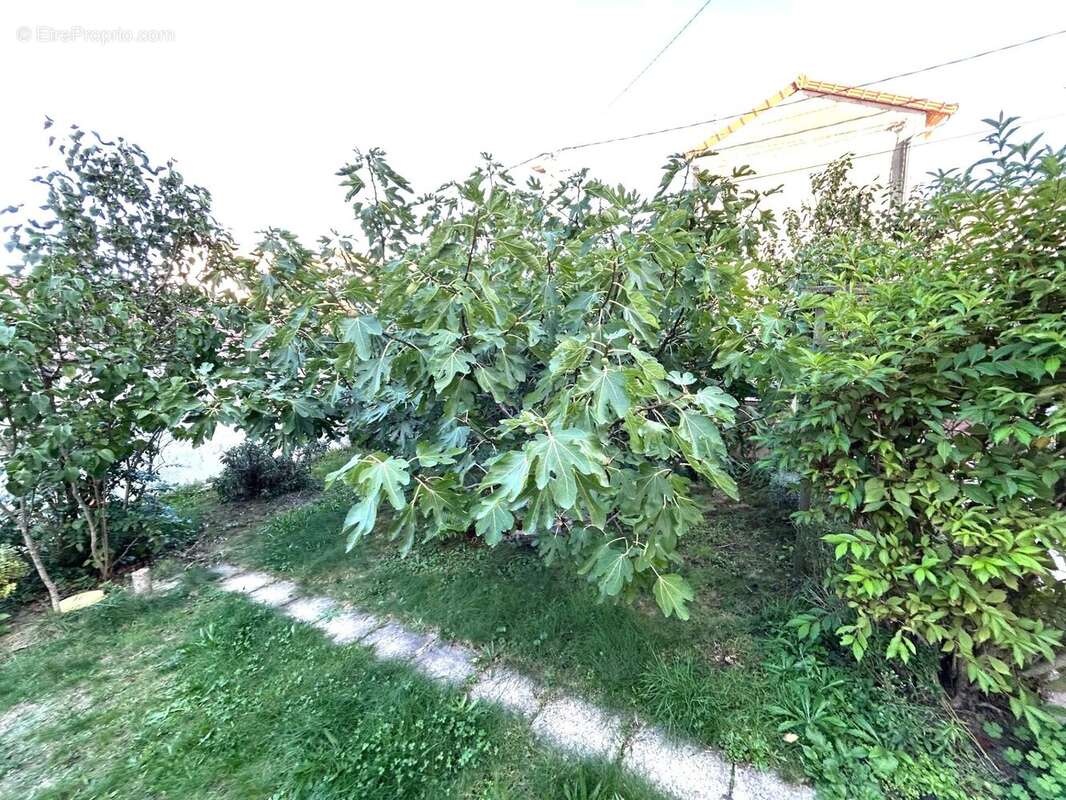 Appartement à ROANNE