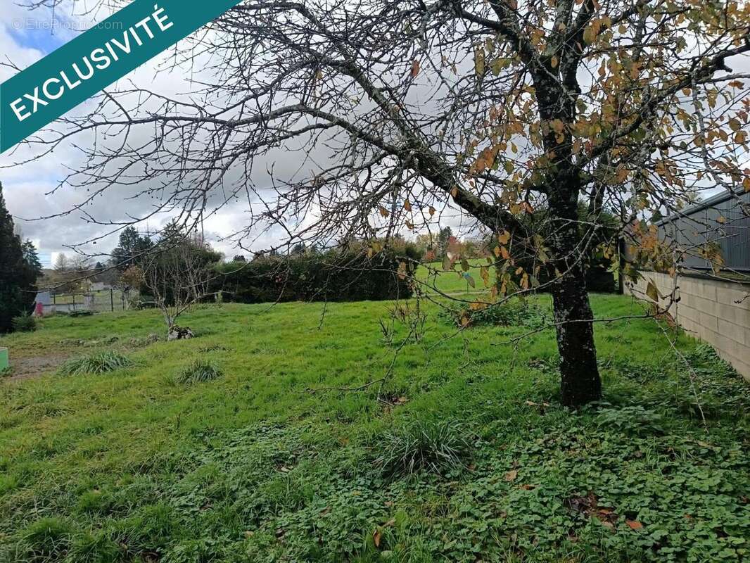 Photo 7 - Terrain à JONCHEREY