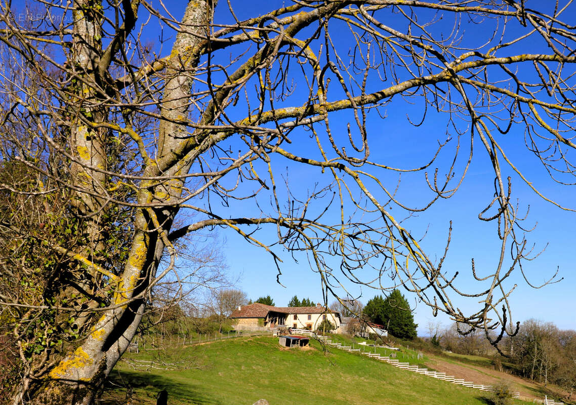 Propriété exceptionnelle, ferme ancienne rénovée, gîte, vue incroyable sur la chaîne des Pyrénées - photo 4