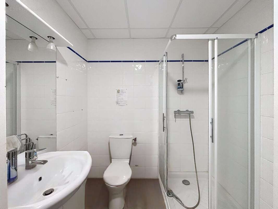 Commerce 245 m² à Muret  - photo 5