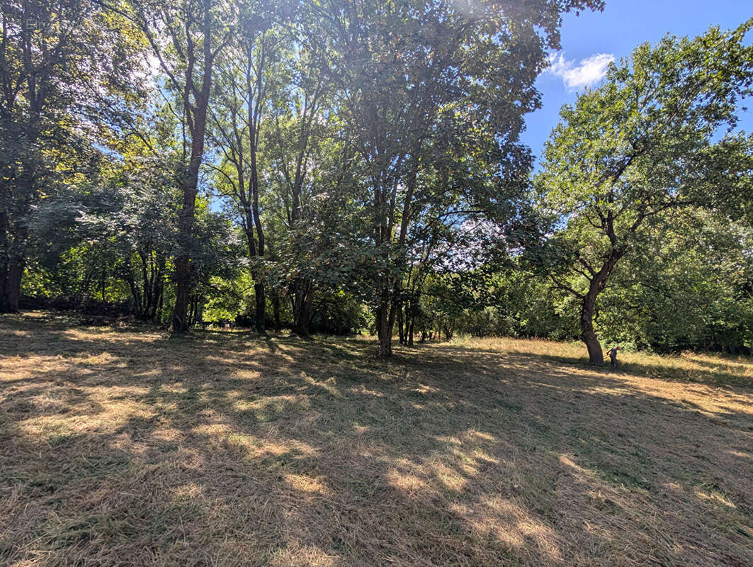 Terrain - Vienne  -16000 m2 - photo 13