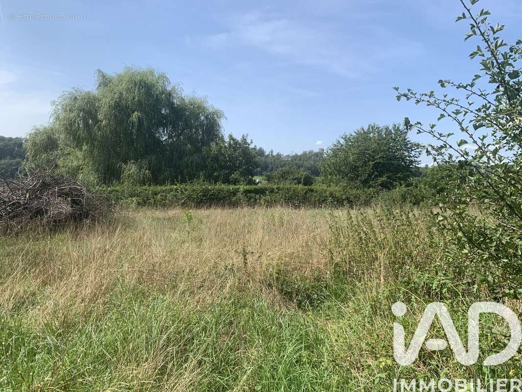 Photo 2 - Terrain à FRANCHEVAL