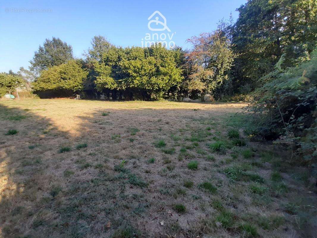 Rare Opportunité Terrain de 3 148 m2 à Saint-Junien - Cadre - photo 5