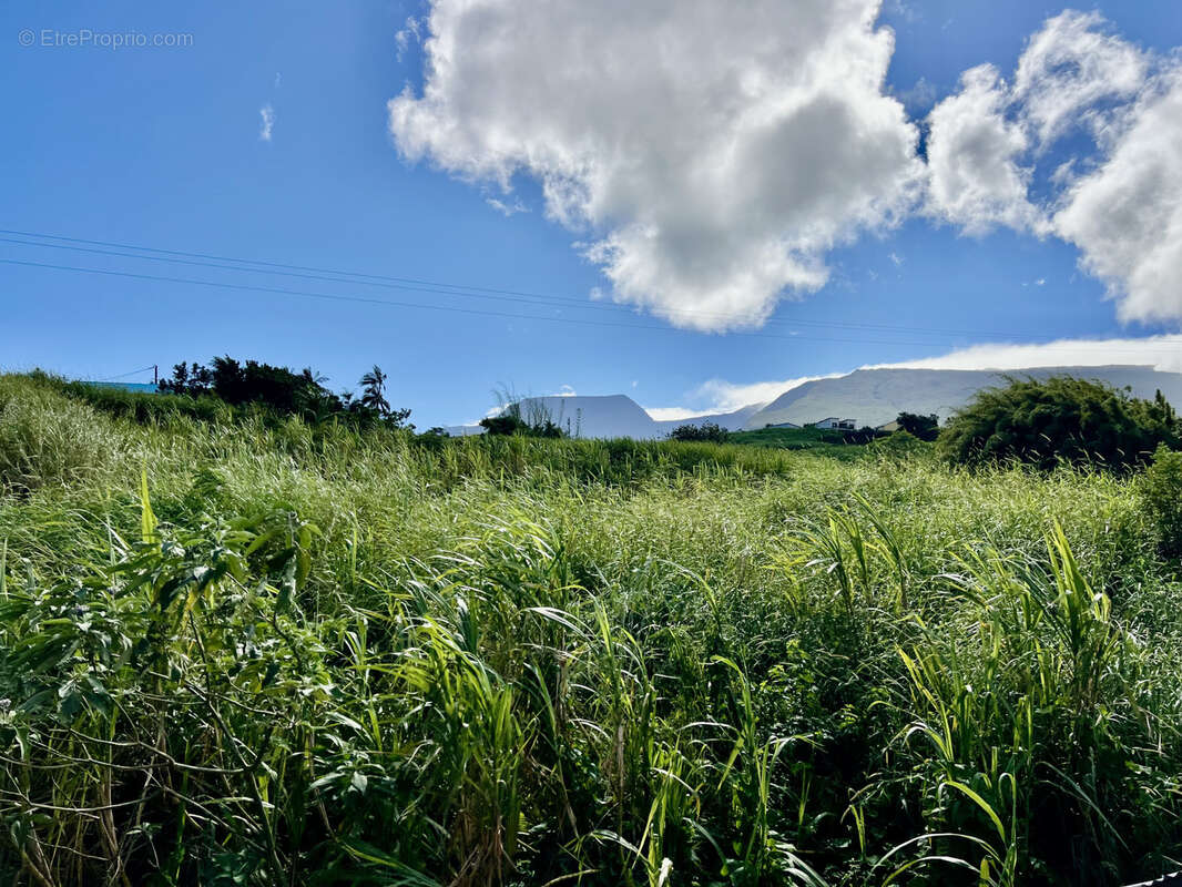Maison à SAINT-JOSEPH