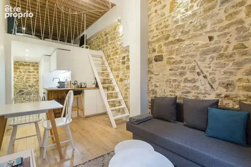 T1 Bis esprit loft rénové quartier Ainay - photo 3