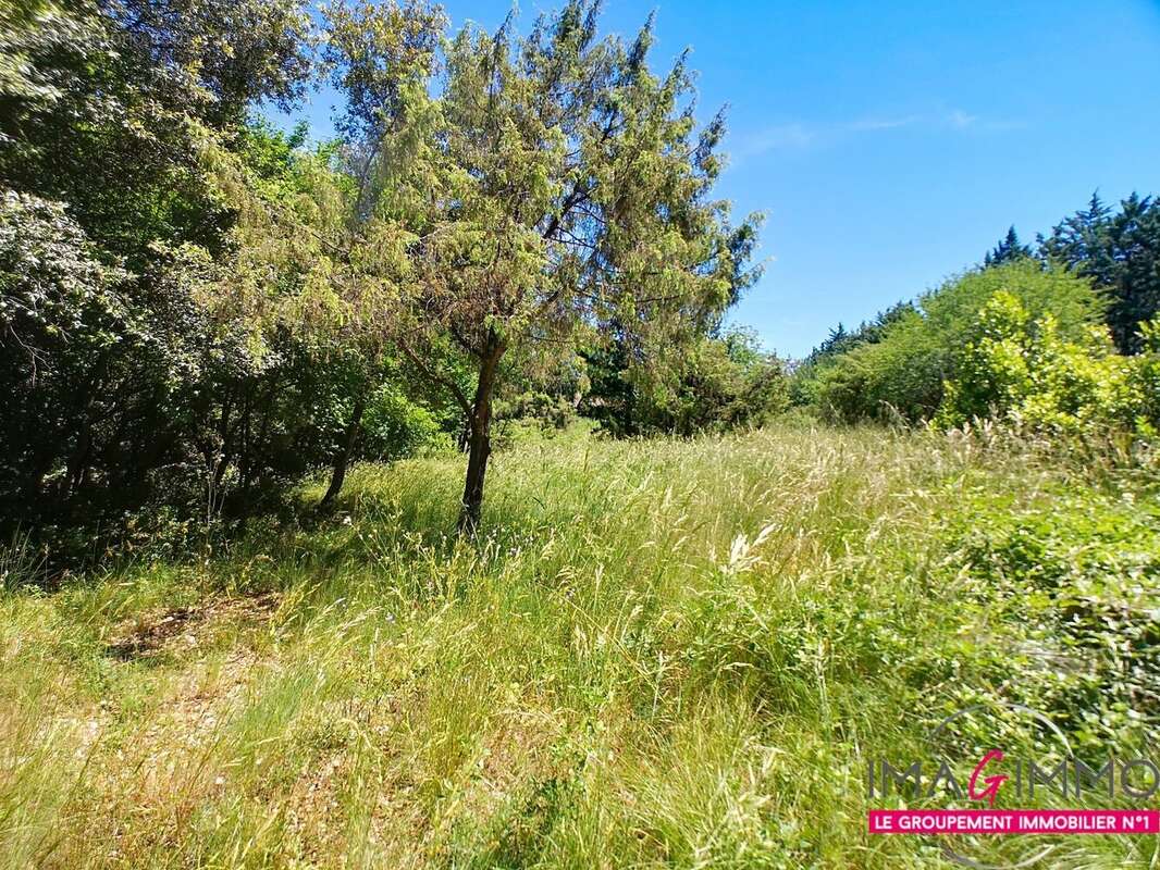 Maison à ARGELLIERS