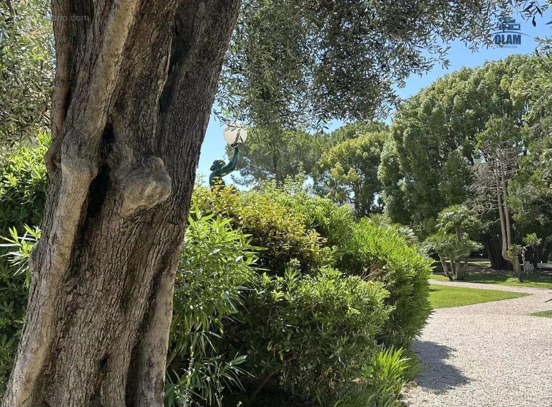 Cannes Montrose - appartement 3 pièces atypique, 105 M2, vue mer - photo 16