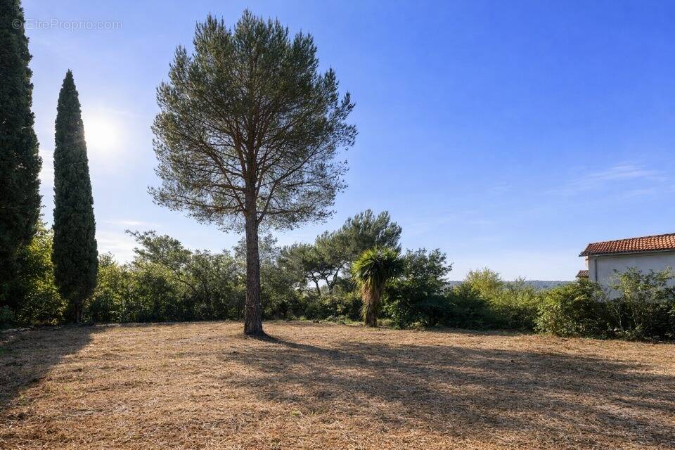Terrain à TOULON