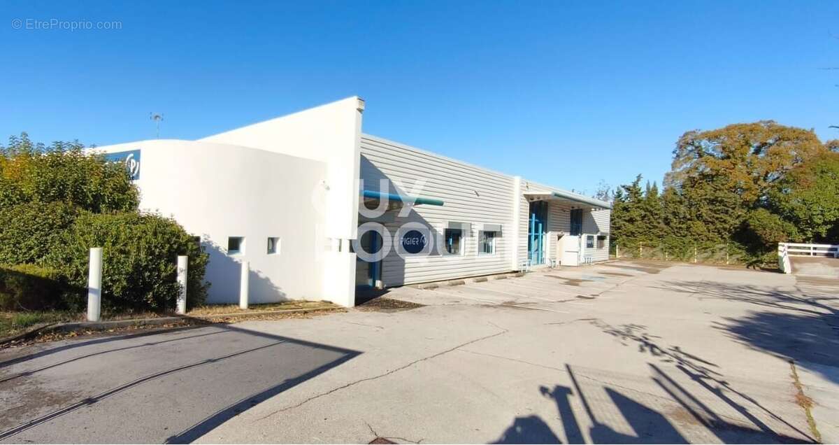 Commerce à MONTPELLIER