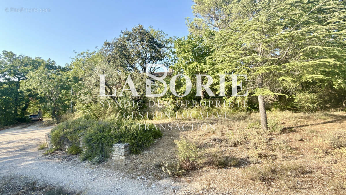 GORDES   Élégante propriété au cœur d'une oliveraie d'un hectare - photo 17