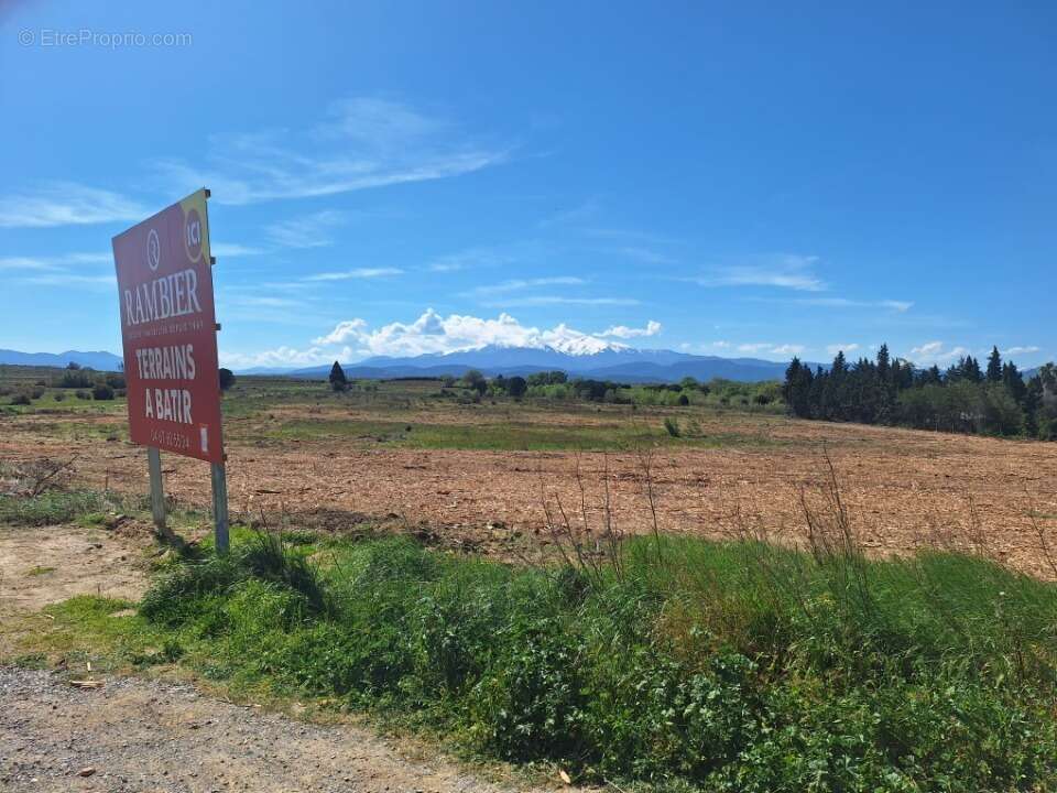 Terrain 322 m² à Villemolaque  - photo 3