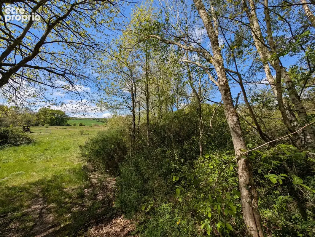 Maison de 74m2 sur sous sol, et jardin de 1075m2 sur la commune de Chevannes dans un environnement très calme - photo 12