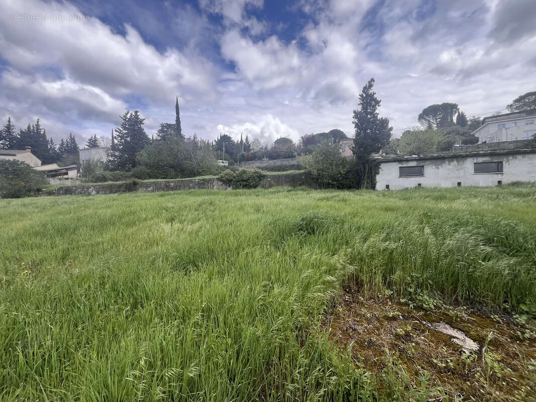 Bédarieux, à vendre terrain constructible de 8160 m2 avec une bâtisse existante à rénover entièremment - photo 4