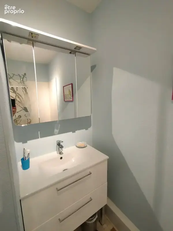 Vichy quartier plan d'eau, bel appartement de type 3 en parfait etat - photo 11