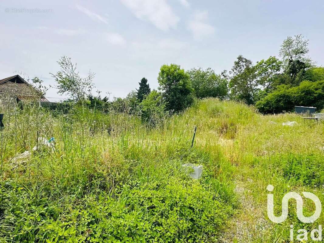 Photo 2 - Terrain à VIELLESEGURE