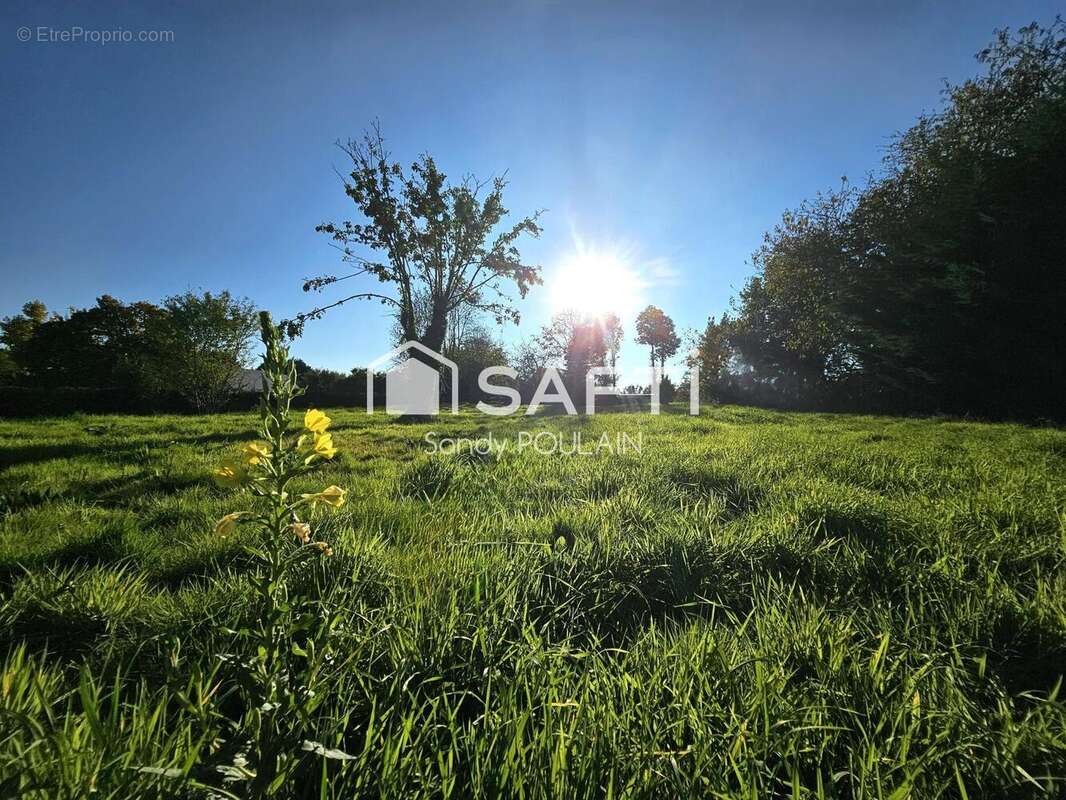 Photo 3 - Terrain à QUETTREVILLE-SUR-SIENNE