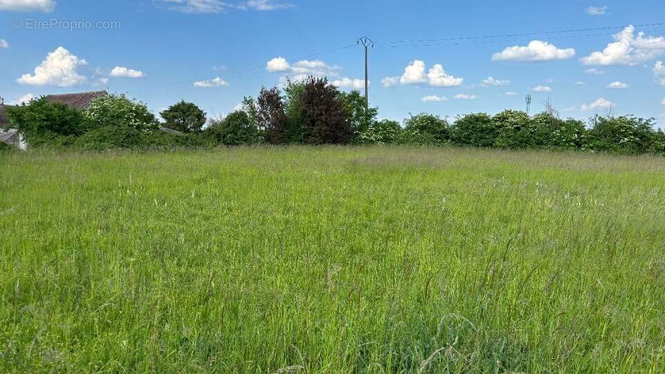 Terrain à NEMOURS