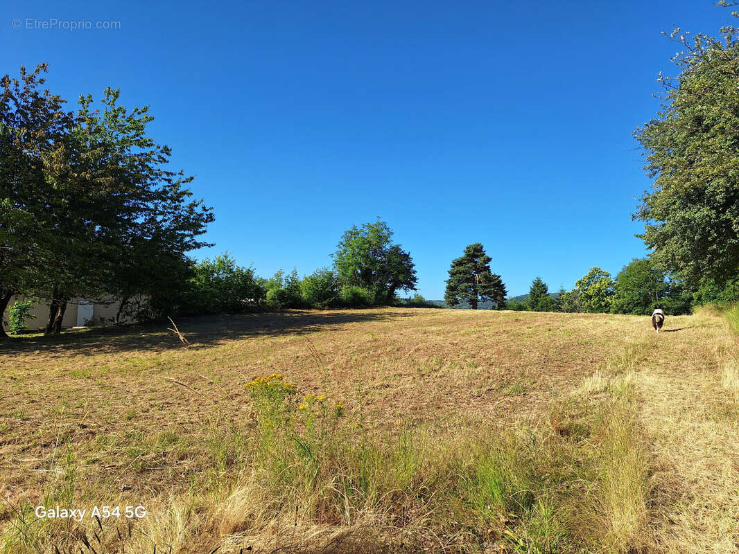 Terrain à SAINT-APOLLINAIRE-DE-RIAS