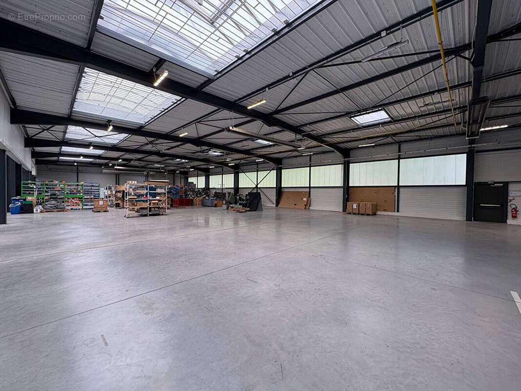 Commerce à SAINT-ETIENNE-DU-ROUVRAY