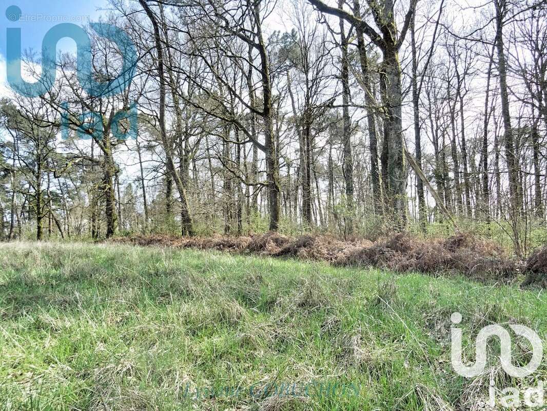 Photo 4 - Terrain à RONSENAC