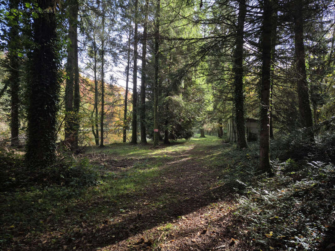 20251031_105620 - Terrain à PIEGUT-PLUVIERS