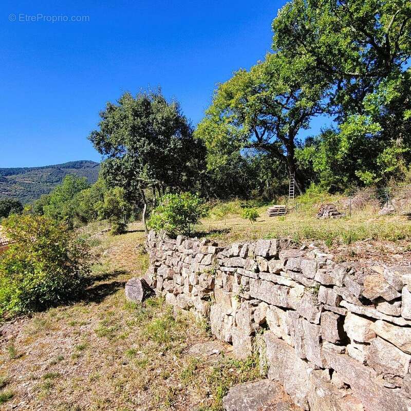 Photo 6 - Maison à VILLEMAGNE-L'ARGENTIERE
