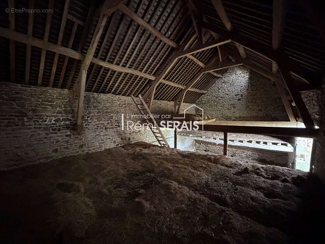 Maison à LA CHAPELLE-AU-MOINE