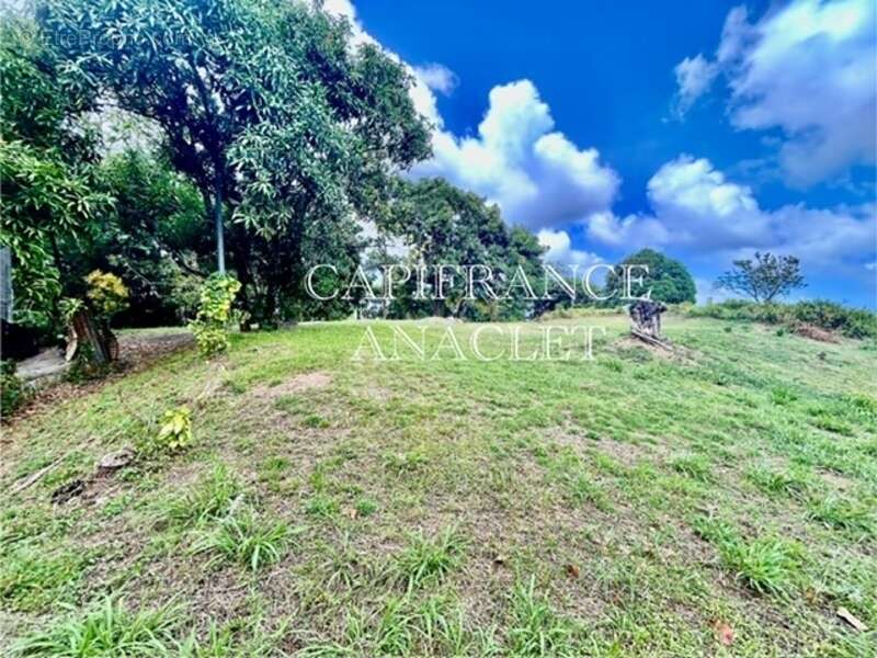Terrain à LA TRINITE