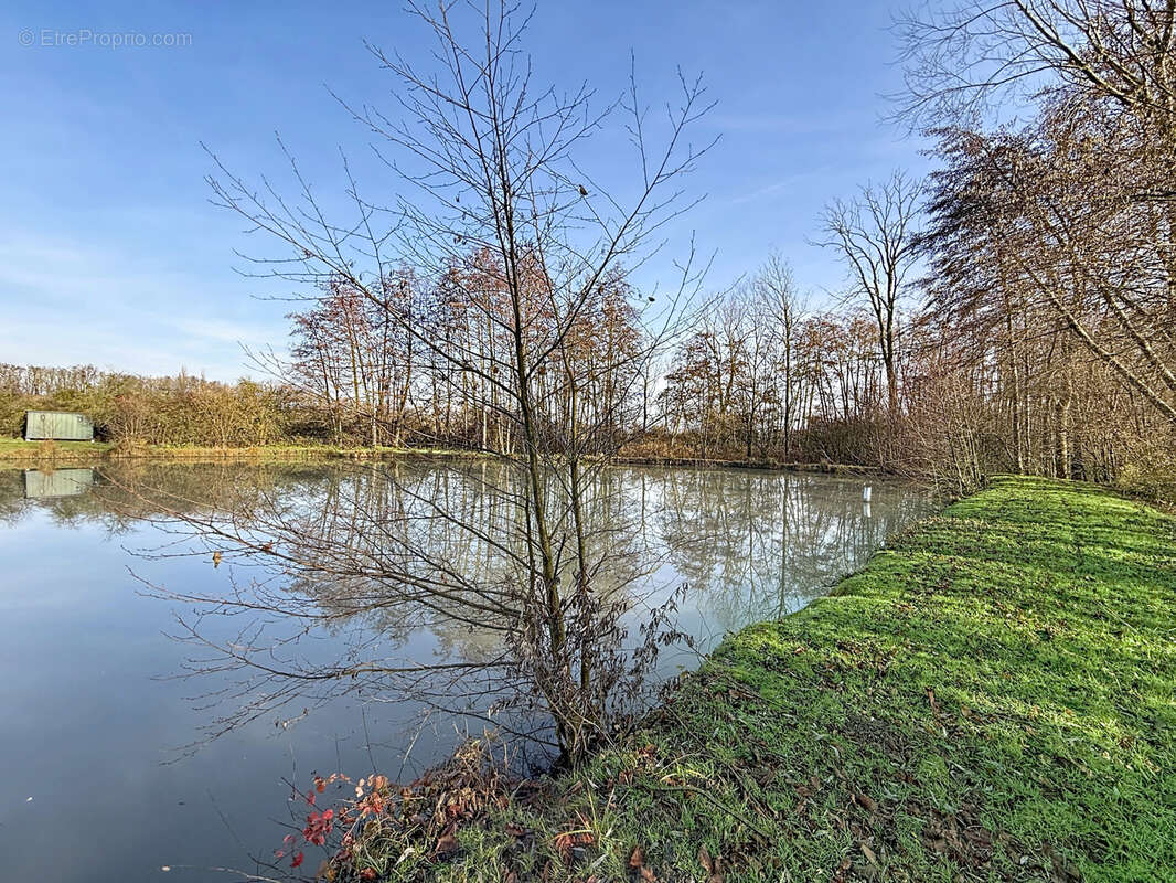 Terrain à MIRECOURT