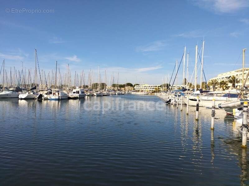 Commerce à LE GRAU-DU-ROI