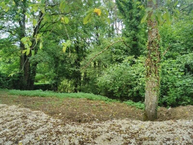 Maison à VAUCONCOURT-NERVEZAIN