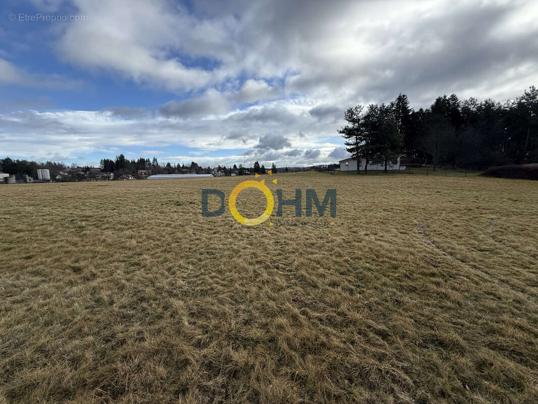 Terrain à SAINT-PAL-DE-MONS