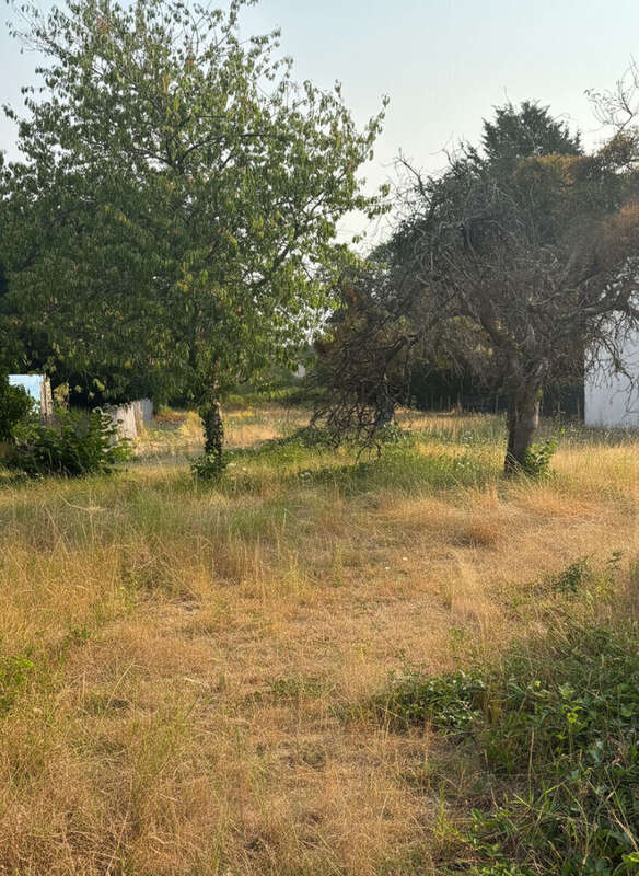 Maison à rénover Nouan Le Fuzelier 3 pièce(s) 40 m2 - photo 5