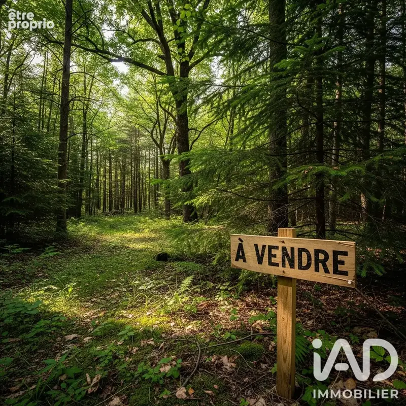 Photo 1 - Terrain à ARSAC