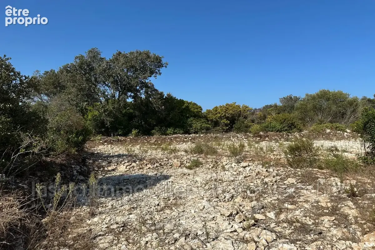 Terrain 1 427 m² à vendre à Bonifacio (20169) - photo 5