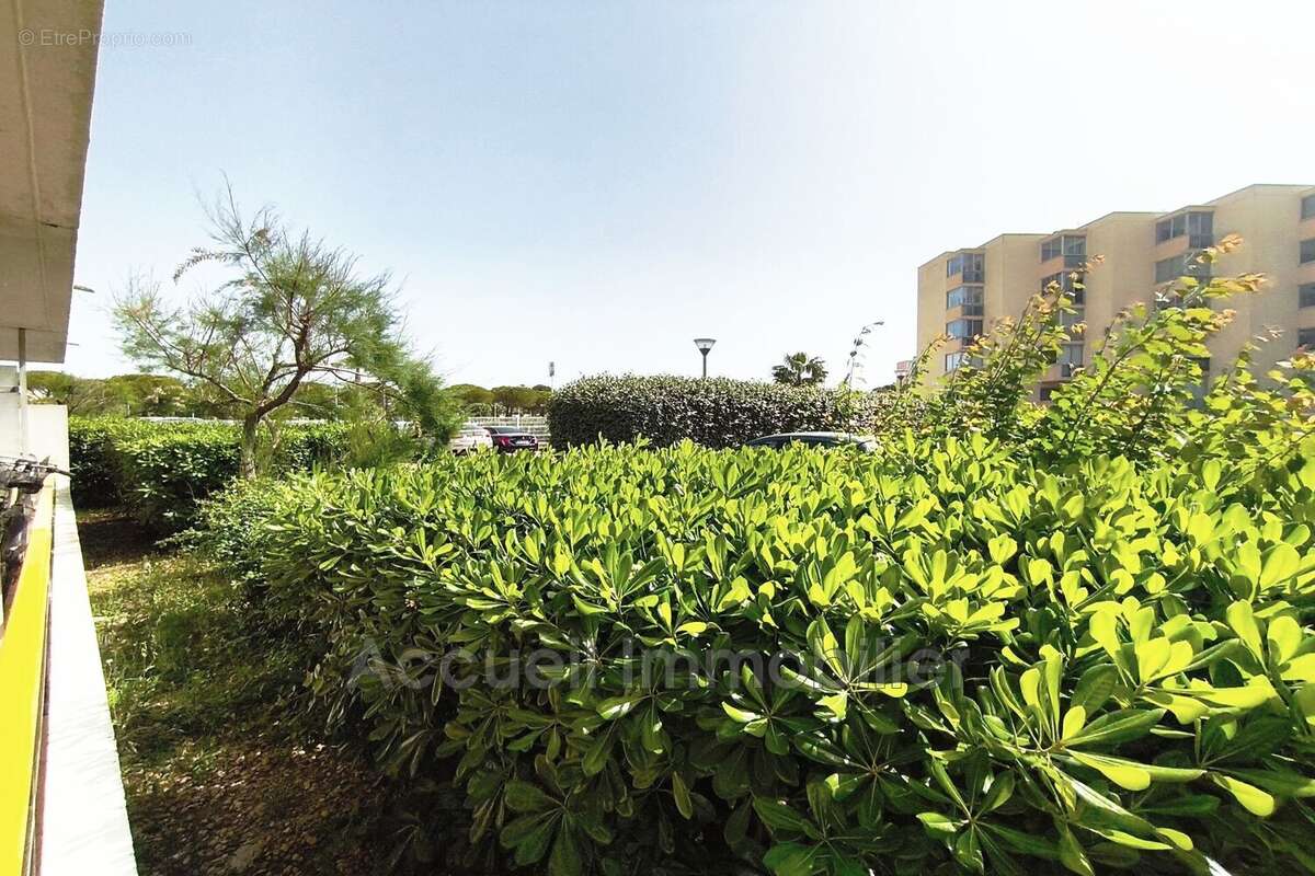 Appartement à LE GRAU-DU-ROI