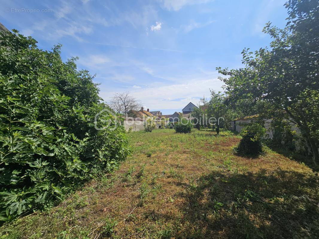 Terrain à BOYNES