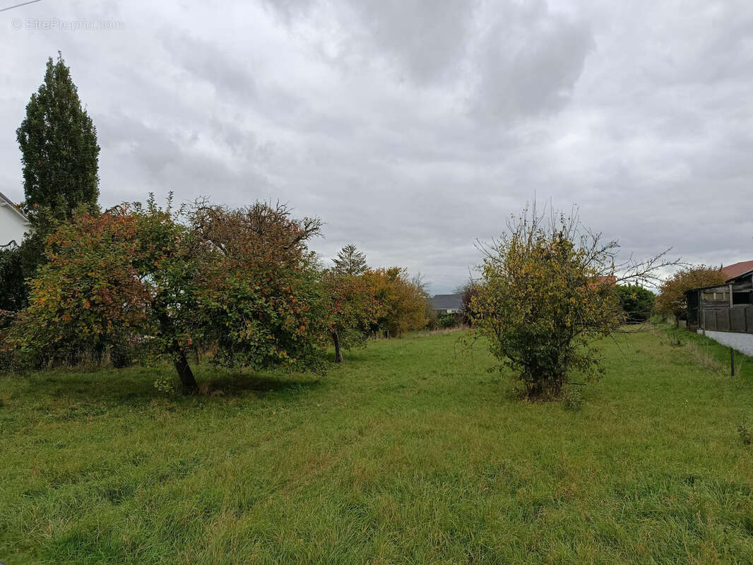 Terrain à DIEUZE
