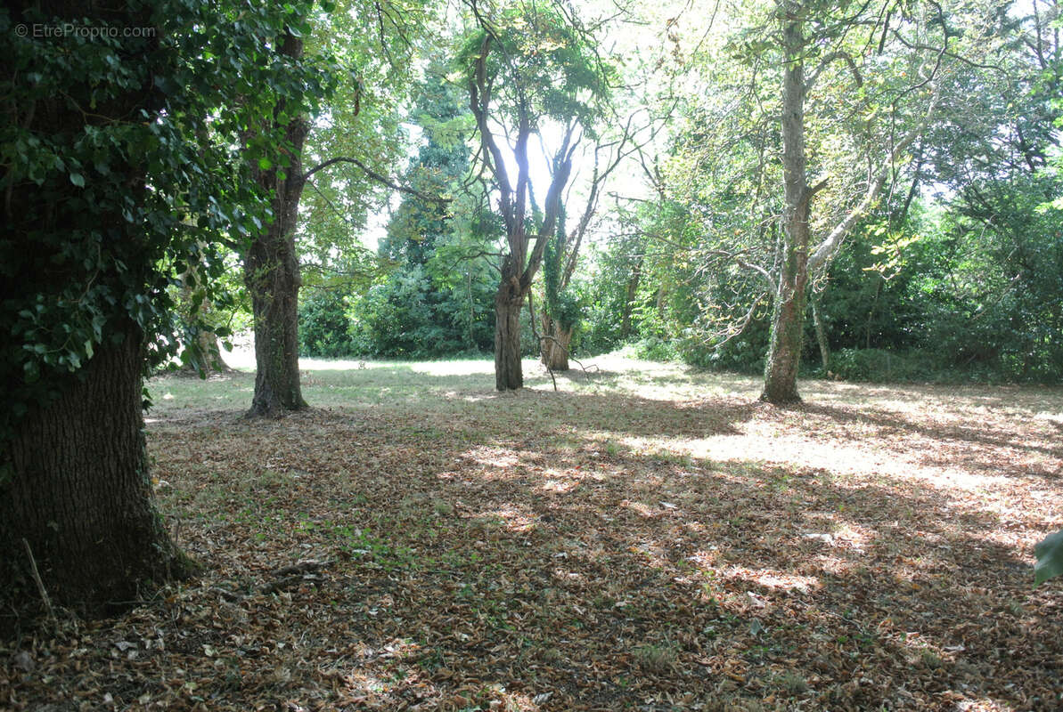 Maison à MIRAMONT-DE-GUYENNE