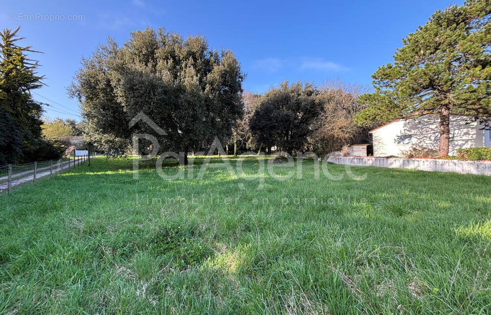 Terrain à MESCHERS-SUR-GIRONDE
