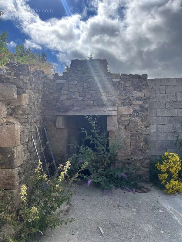 Maison - louargat - photo 17