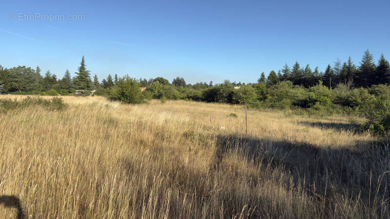 Terrain à SAINT-CHRISTOL